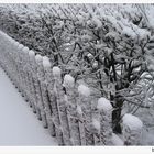 unberührte Schneelandschaft