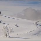 * Unberührte Schneelandschaft *