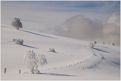 * Unberührte Schneelandschaft *