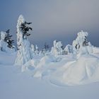 Unberührte Schneelandschaft