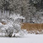 Unberührte Schneelandschaft im Naturschutzgebiet Eselsbachtal