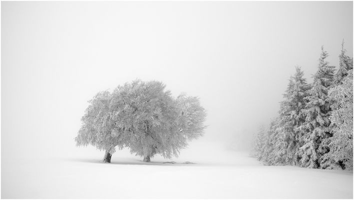 ~ unberührte Schönheit ~
