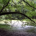 unberührte Stille der Natur I