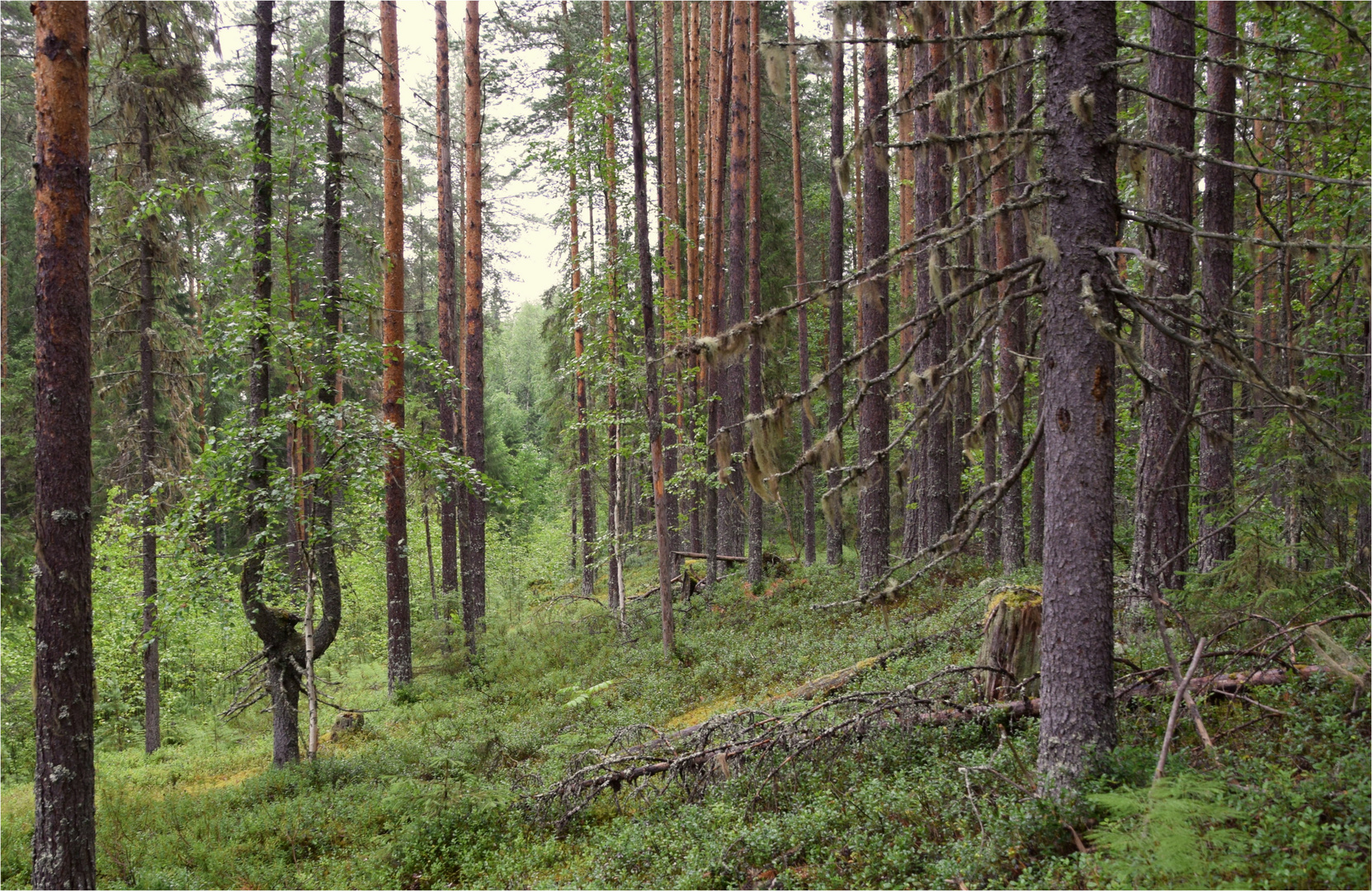 .. unberührte Wildnis..