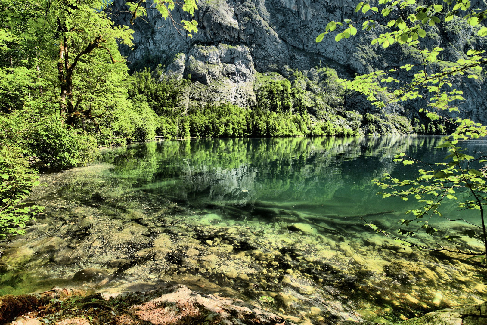 Unberührte Wildnis