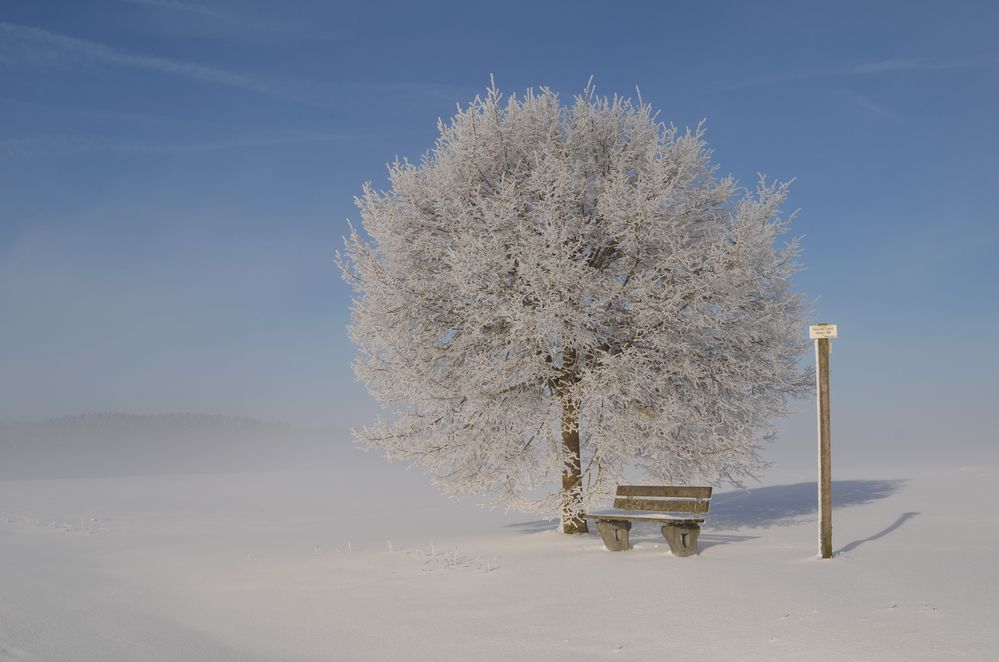 unberührte Winterlandschaft