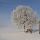 unberührte Winterlandschaft