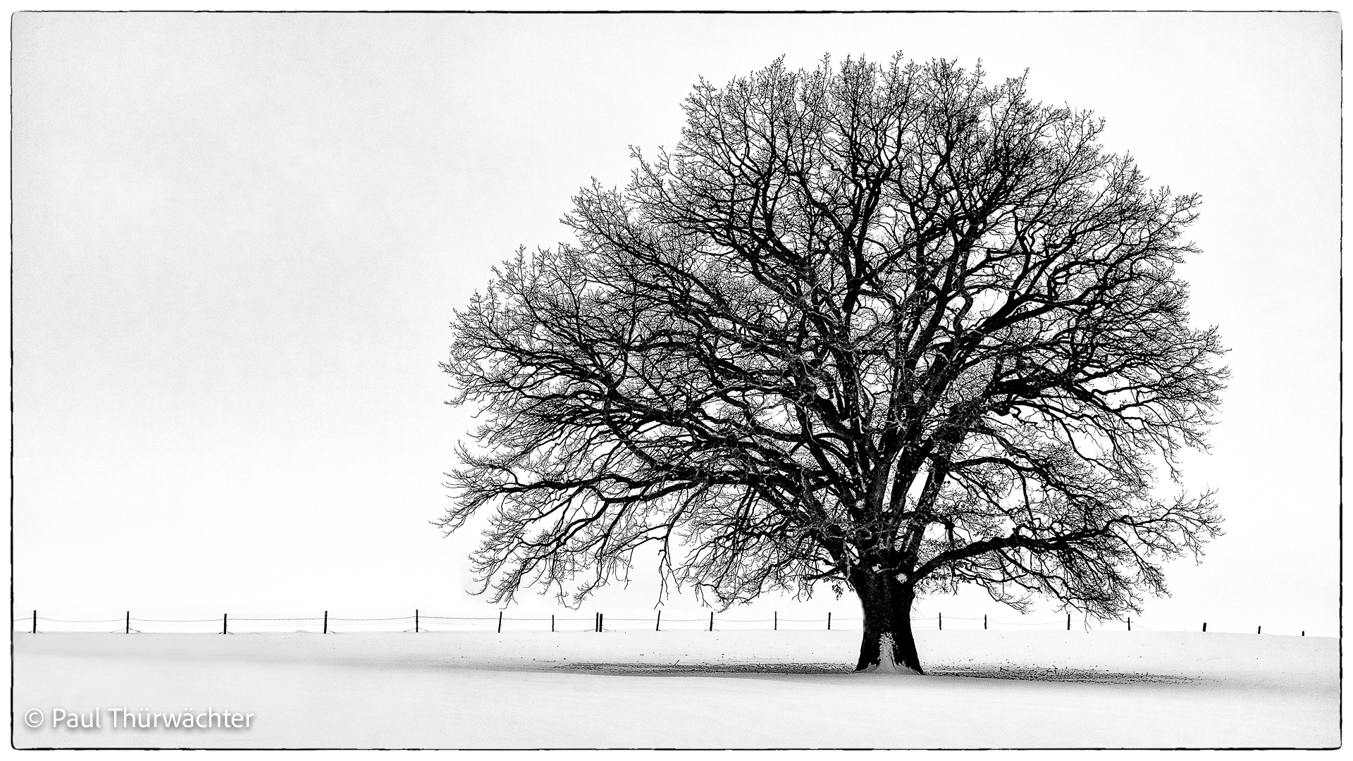 Unberührte Winterlandschaft 