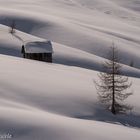 ** Unberührte Winterlandschaft**