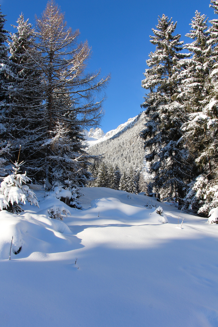 Unberührte Winterlandschaft, Österreich