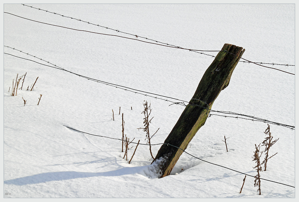 Unberührten Schnee