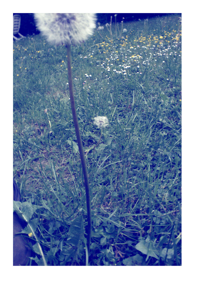 unberührter puste-frühling. // liege im gartenblau.