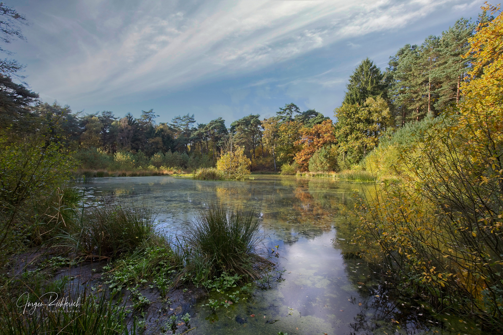 Unberührter Waldsee