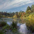 Unberührter Waldsee