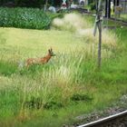 unbeschrankter bahnübergang