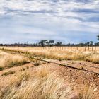 Unbeschrankter Bahnübergang in der Kalahari