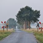 Unbeschrankter Bahnübergang mit Schanze