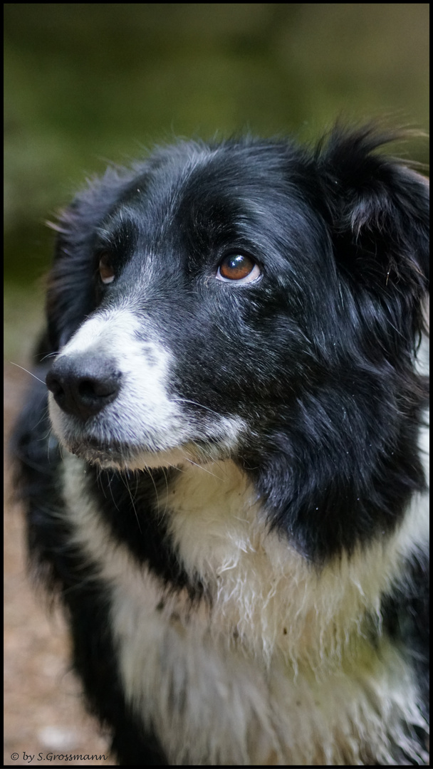 Unbeschreiblich dieser (Augen)Blick