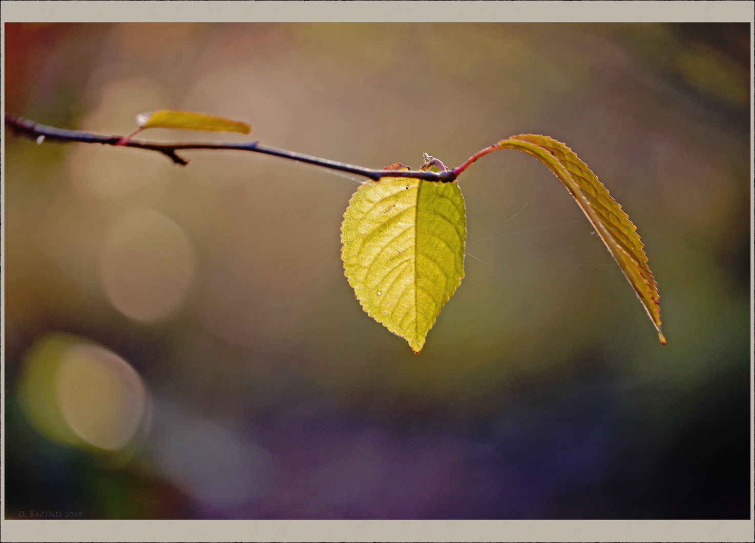 Unbeschriebenes Blatt