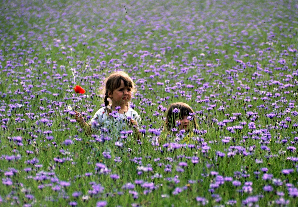 Unbeschwert im Blumenfeld