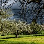 Unbeständiges Aprilwetter