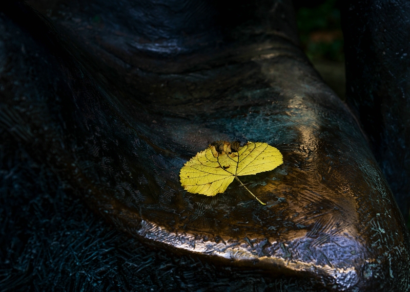 unbestreitbar Herbst