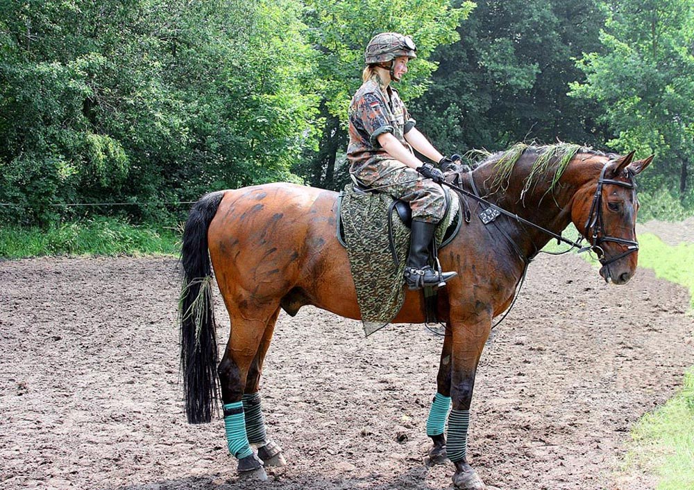 Unbewaffnete Kampf-Reiterin