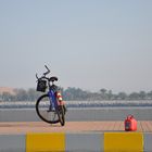 Unbewegliche Mobilität: Abu Dhabi im 21. Jahrhundert