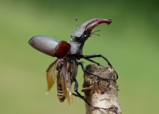 Und ab geht die Post...