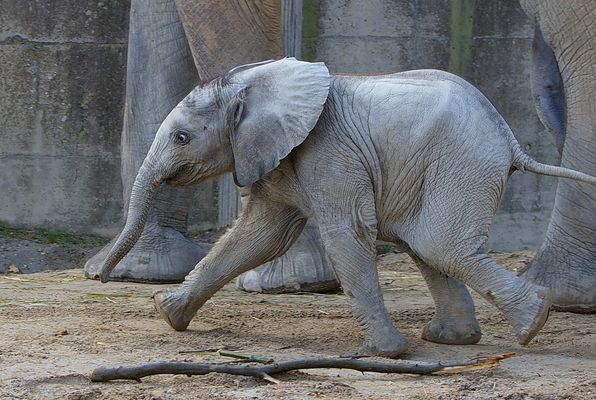 Und ab geht die Post !