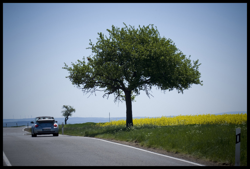 ...und ab in den Sommer