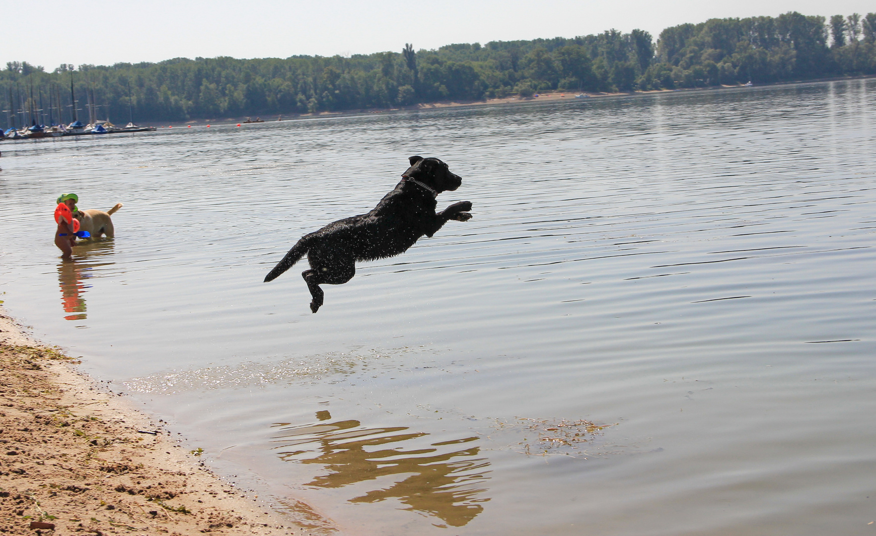 Und ab ins Wasser