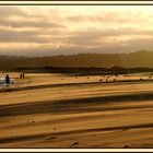 und abends gehört der Strand den Möven