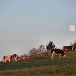 und Abends kommt der MOND