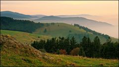 Und abends steigen die Nebel