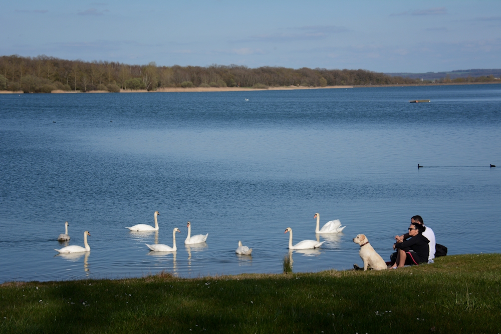 und Abends zum See