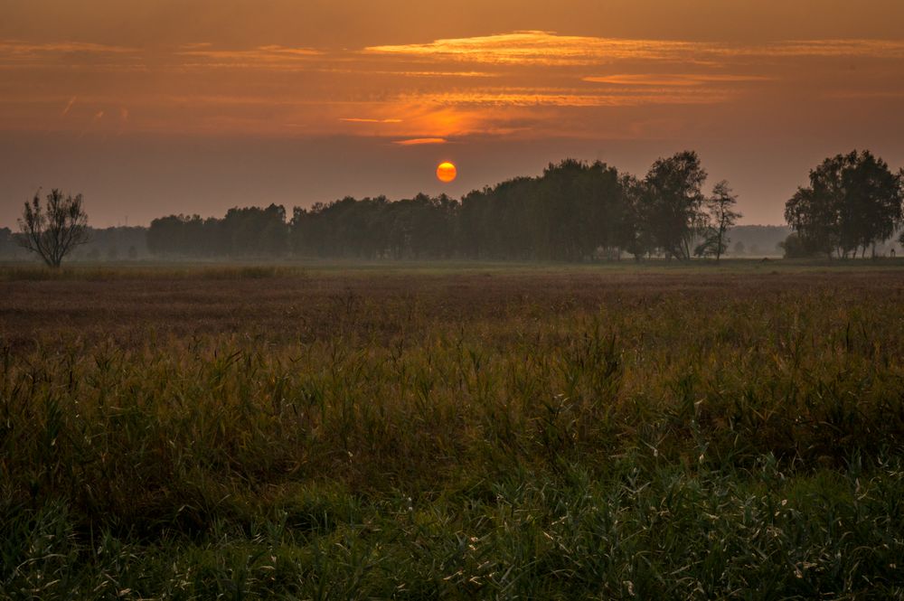 und Abends zurück I - Gurkenradweg/Spreewald