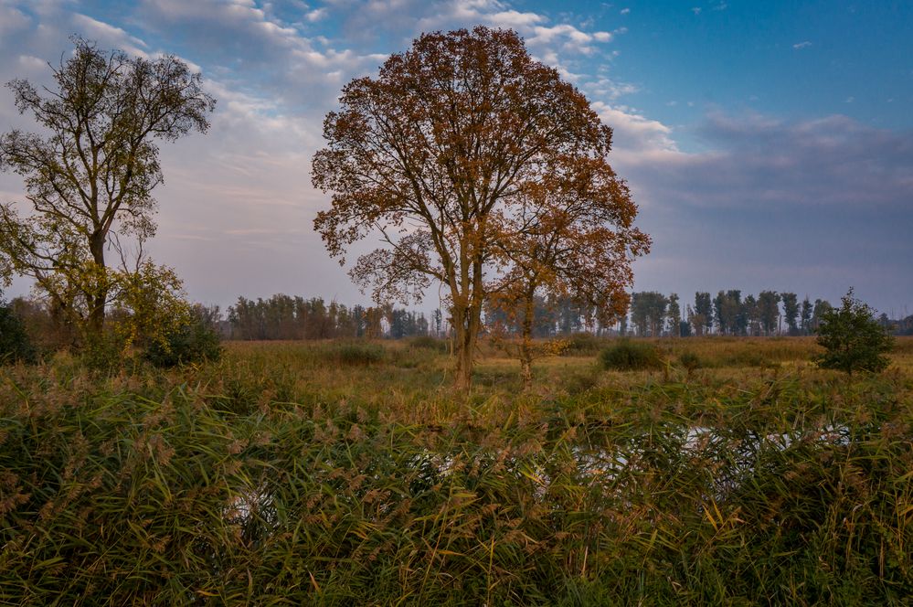 und Abends zurück II - Gurkenradweg/Spreewald