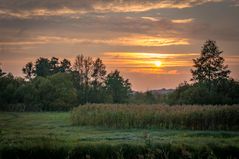 und abends zurück IV - Gurkenradweg/Spreewald