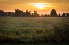 und abends zurück VII - Gurkenradweg/Spreewald