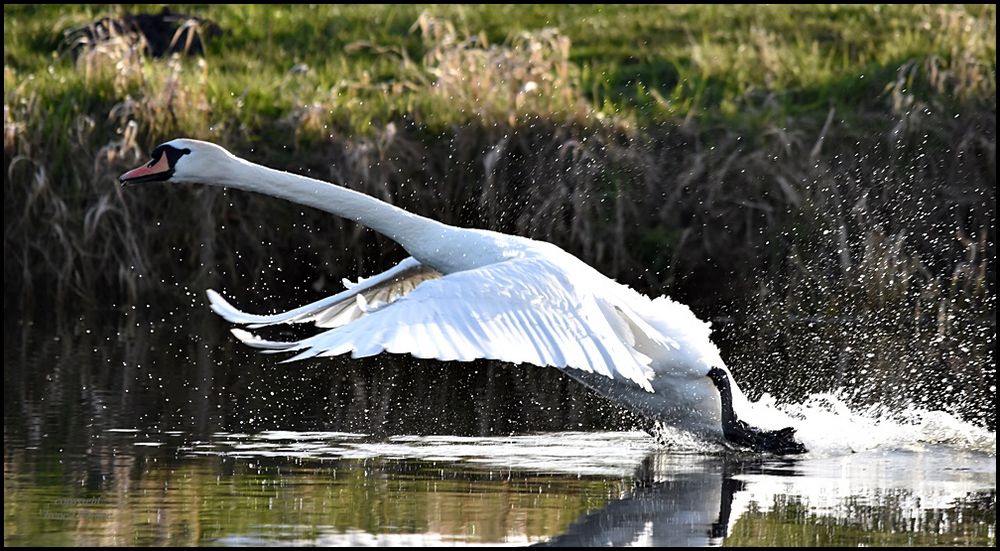 ... und Abflug...