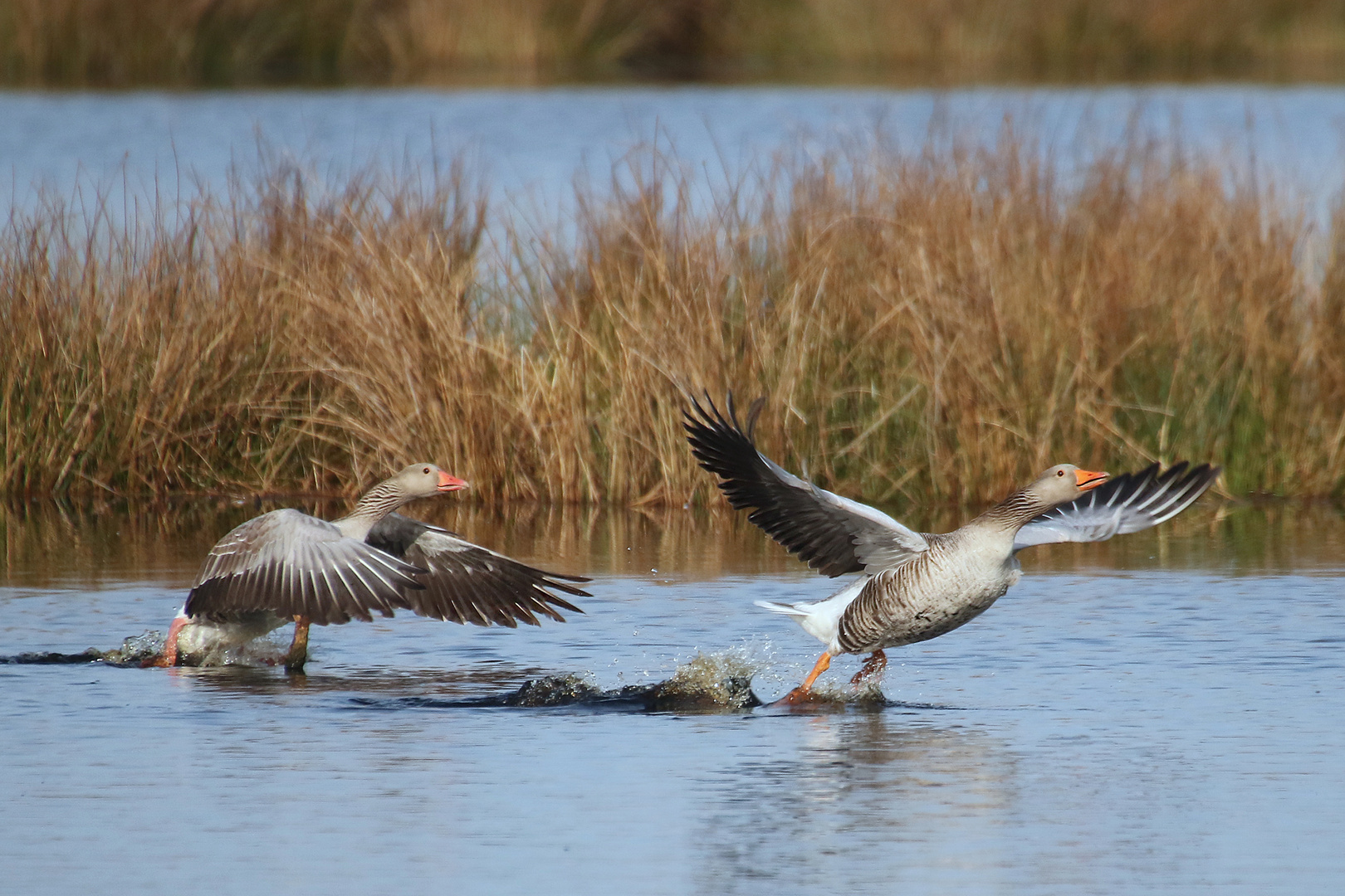 Und Abflug......