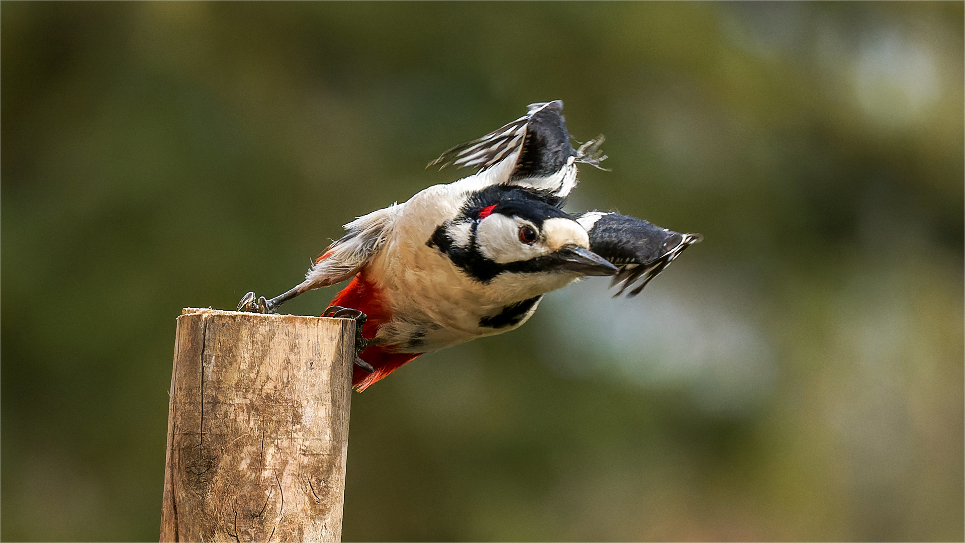 und Abflug  .....