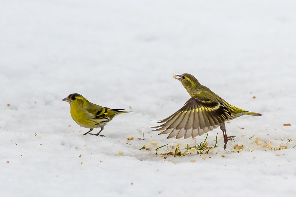 Und Abflug ...