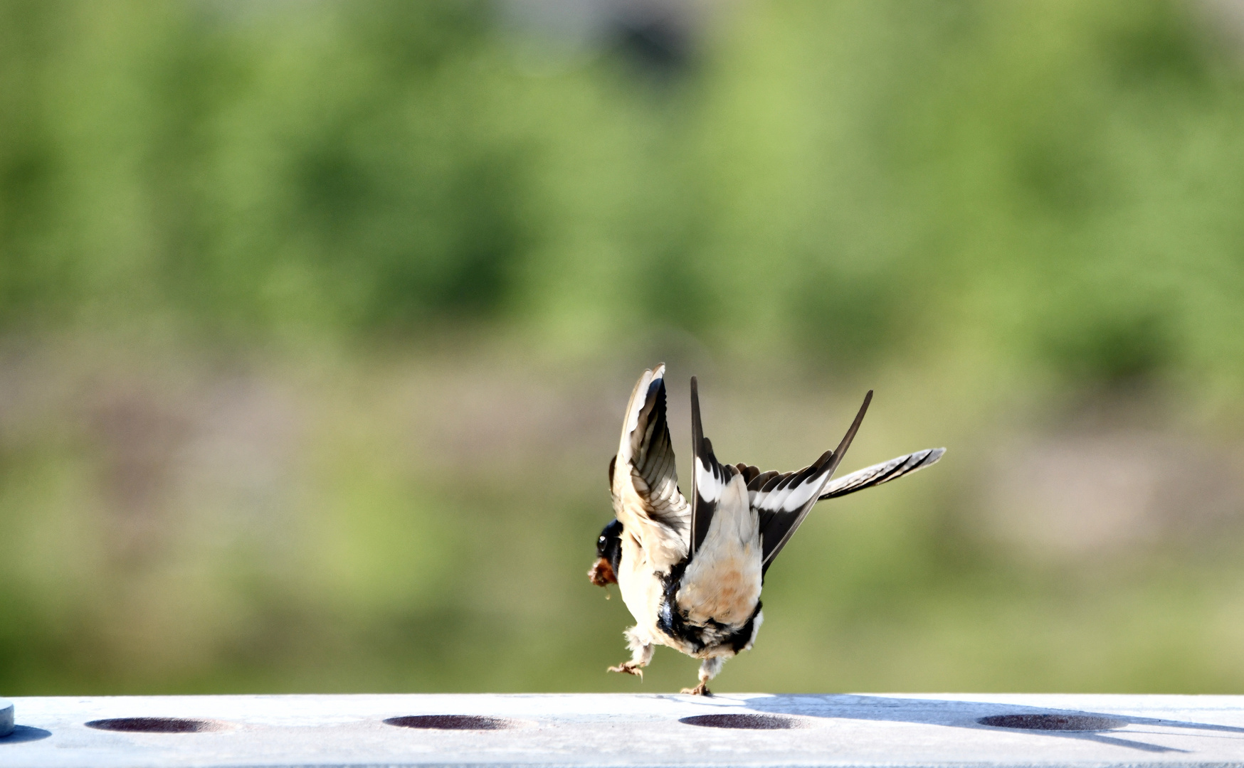 "Und: Abflug .........................."