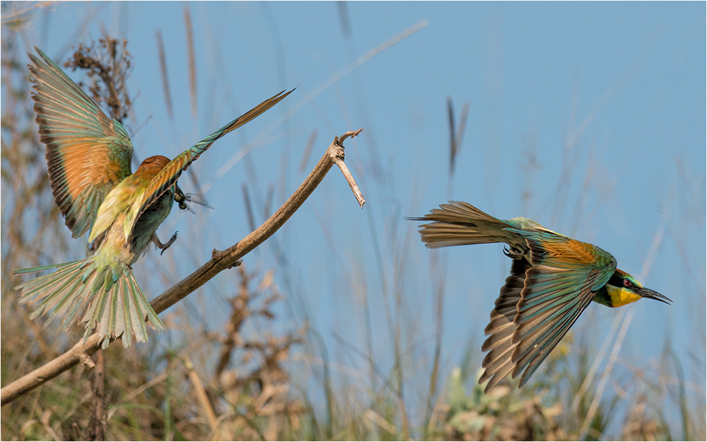 und Abflug