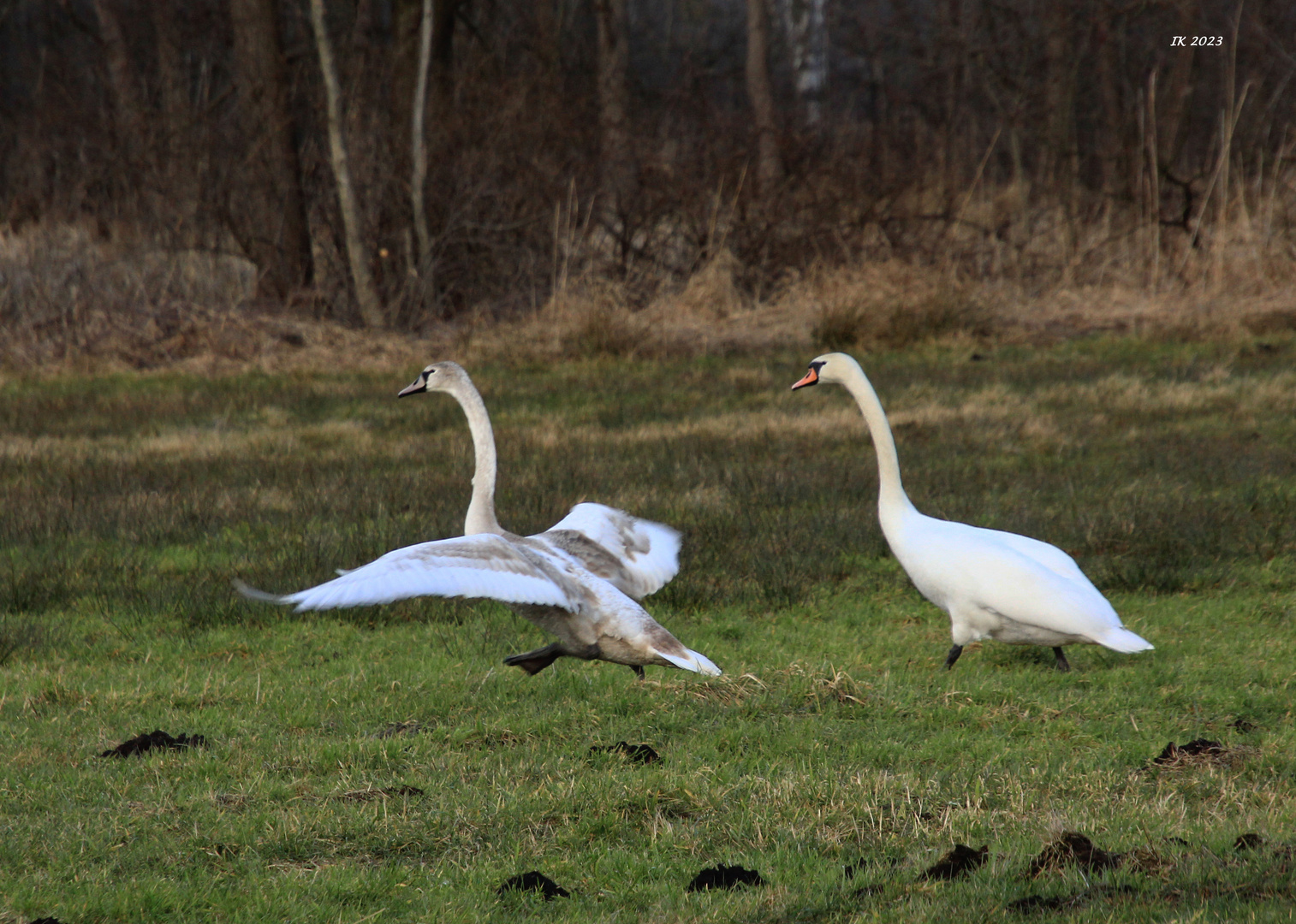 Und Abflug