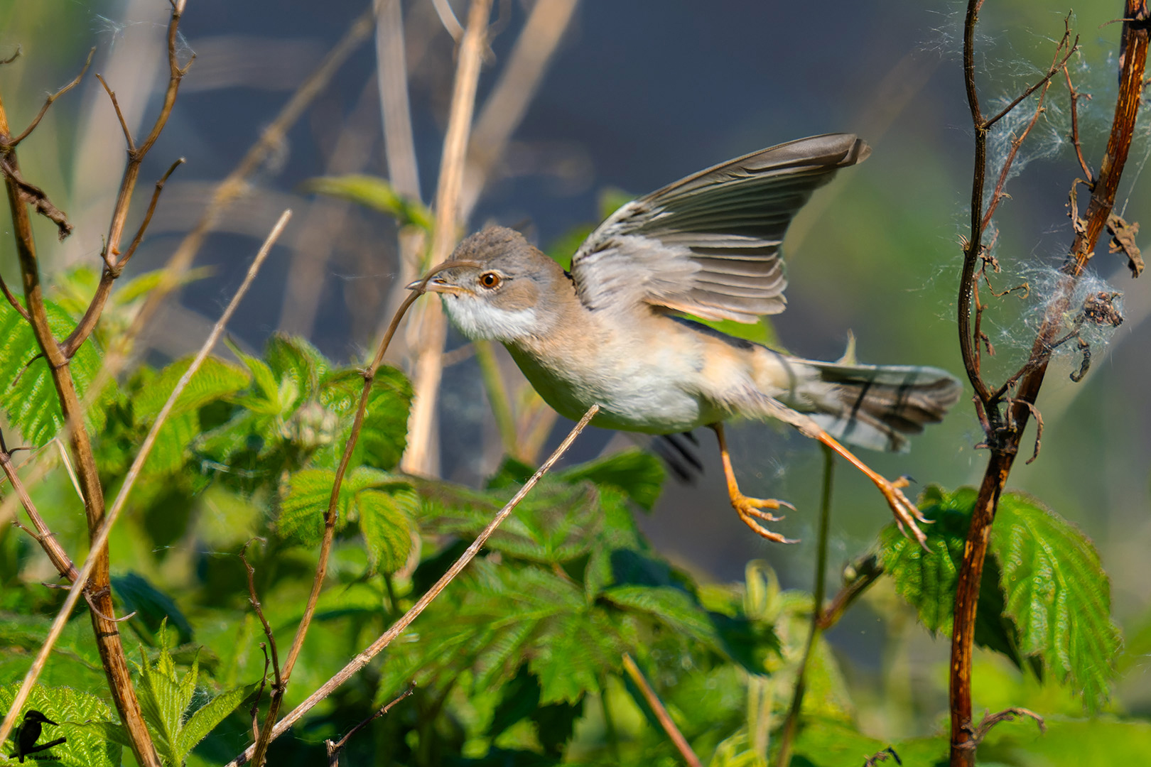 und Abflug