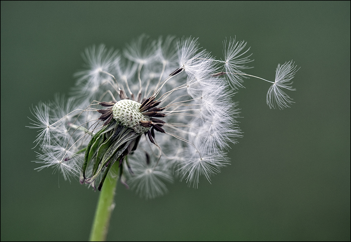 und ...Abflug