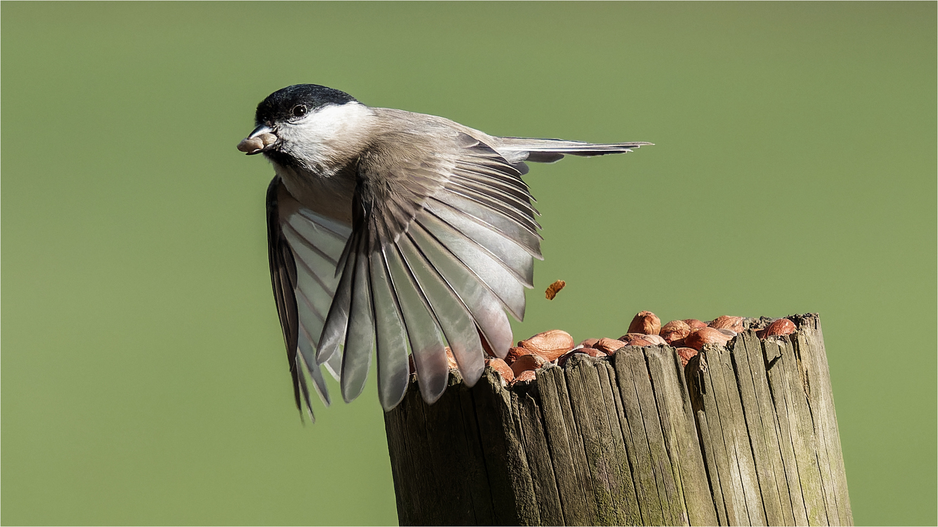 und Abflug  .....